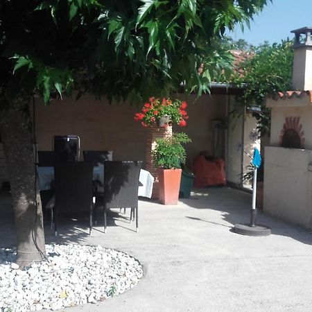 Appartement T2 Plain Pied Labastide-Saint-Georges Eksteriør bilde